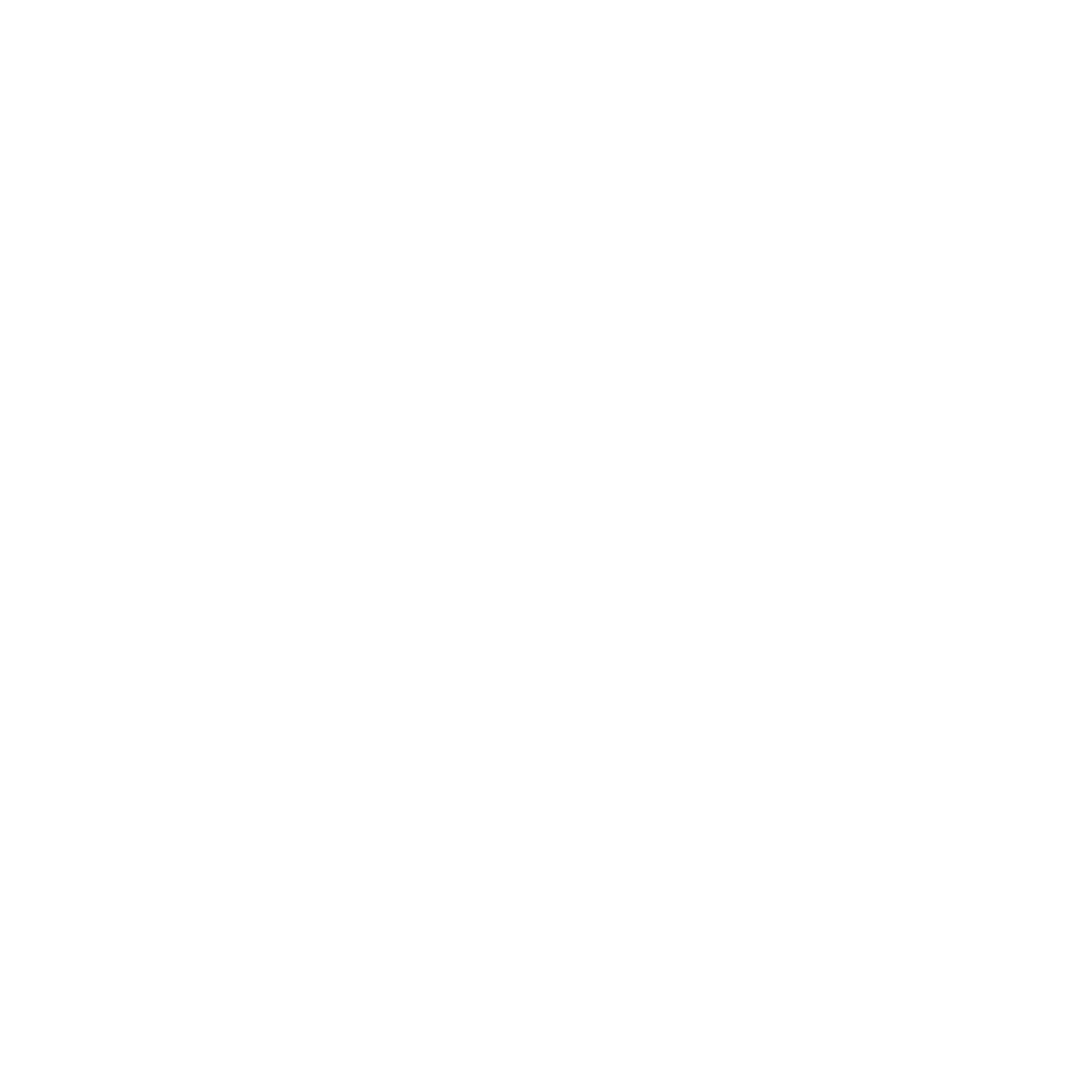 sfondo citazione Matteo e Davide Baroncini